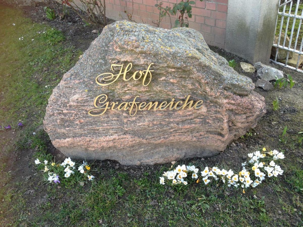 Отель Hof Grafeneiche Asel Экстерьер фото